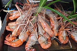Fresh orange prawns with green spring onions on the chatuchak local market in Bangkok, Thailand