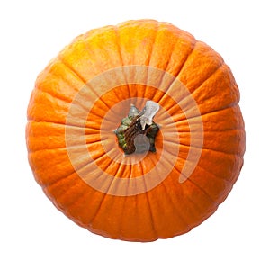 Čerstvý oranžový tekvica izolované na bielom pozadí 