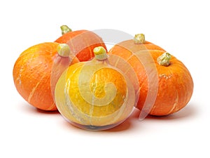 Fresh Orange Pumpkin Uncut