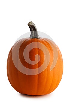 Fresh orange pumpkin on white