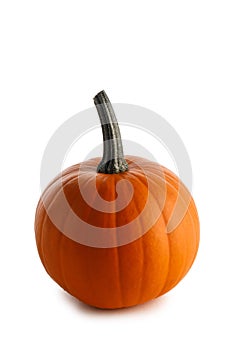 Fresh orange pumpkin on white