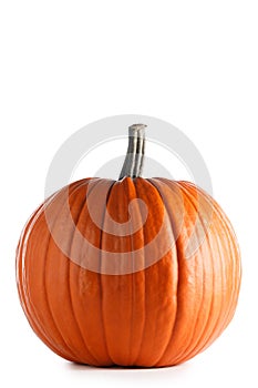 Fresh orange pumpkin on white