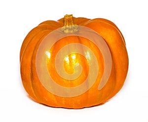 Fresh orange pumpkin on white background