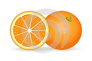 Fresh orange in realistic style. Vector illustration isolated on white background.