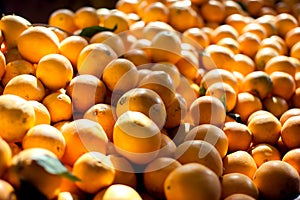 Fresh orange for sale at local market. Agriculture product. Organic fruits