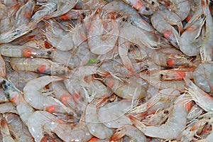 Fresh orange shrimp