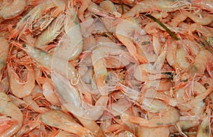 Fresh orange shrimp