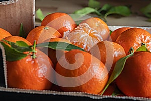 Fresh orange tangerines with leaves in a box, natural background