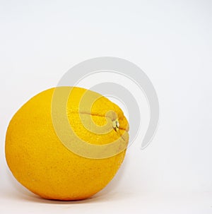 Fresh orange closeup on a white background with place for text