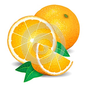 Fresh oranges fruit, pieces of orange. Realistic oranges, vector