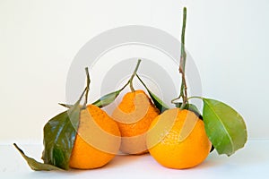 Fresh oranges with leaves isolated on white background