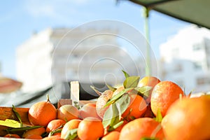 Fresh oranges on the market in wooden box