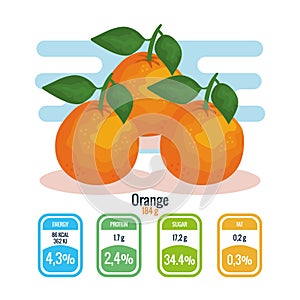 Fresh oranges with nutrition facts