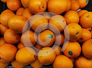 fresh oranges in a refigerator