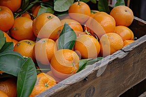 Fresh oranges in wooden crate at market