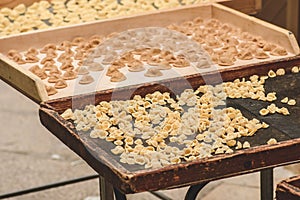 Fresh orecchiette or orecchietta, handmade pasta made with durum wheat and water, typical of Puglia