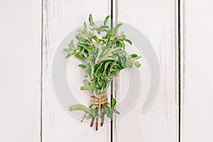 Fresh oregano bunch on the white table, aromatic herb