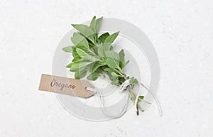 Fresh oregano herb