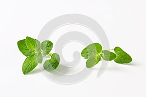 Fresh oregano sprigs