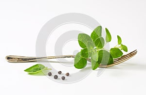 Fresh oregano sprigs on fork
