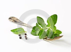 Fresh oregano sprigs on fork