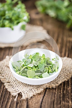 Fresh Oregano on wooden background