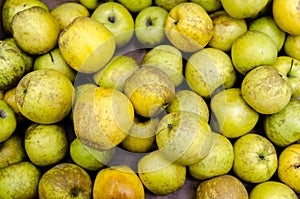 Fresh organic apples sold on market.