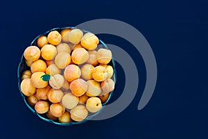 Fresh organic apricot fruit on dark blue background. Seasonal fruits for healthy eating and lifestyle.Copy space