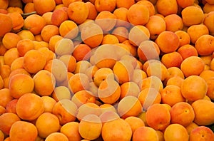 Fresh Organic Apricots