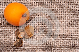 Fresh Organic Apricots and Apricot Kernels the seed of an apricot, often called a `stone` on natural burlap background.