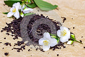 Fresh organic aromatic dry black tea leaves heap with white jasmine flowers on light background.
