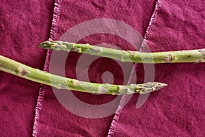 Fresh Organic Asparagus Washed and Ready Asparagus officinalis