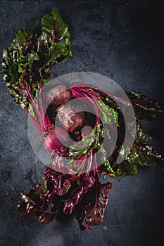 Fresh organic beet, beetroot. Grey background. Copy space. Top view.