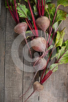 Bunch of fresh organic beetroot on wooden background. Concept of diet, raw, vegetarian meal. Farm, rustic and country