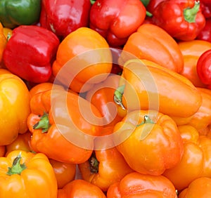 Fresh organic bell peppers capsicum