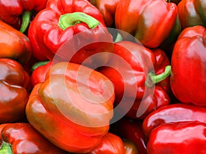 Fresh organic bell peppers capsicum