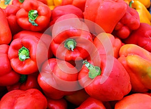 Fresh organic bell peppers capsicum