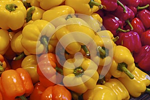 Fresh Organic Bell Peppers make Vibrant Colors in Vancouver's Grandville Island Market