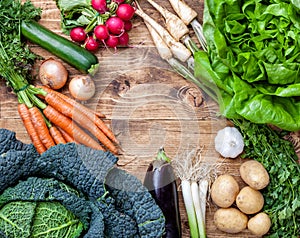 Fresh organic bio vegetables on wooden background