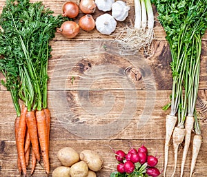 Fresh organic bio vegetables on wooden background