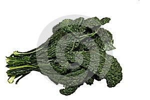 Fresh organic black Kale