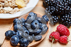 Fresh organic blueberries and raspberries in a basket.Blueberry and raspberry