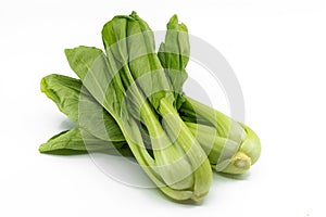 Fresh organic Bok choy vegetable or Chinese cabbage or Taiwanese kale, isolated small pile of Bok choy on the white background