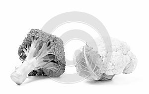 Fresh organic broccoli and cauliflower cabbage heads vegetables isolated on white