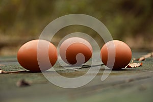 Fresh, organic brown eggs on wood table