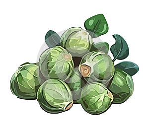 Fresh organic Brussels sprouts vegetables