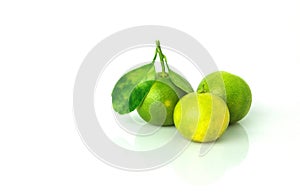 Fresh organic Calamansi lime on white background