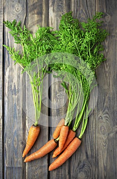 Fresh organic carrot. Bunch of fresh carrots with green tops on old wooden background. Top view, flat lay. Copyspace
