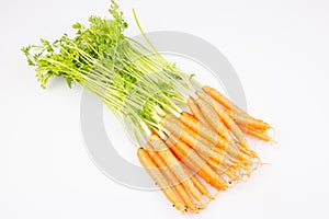 Fresh organic carrot vegetable with green leaves Healthy food isolated on white background