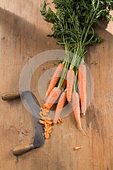 Fresh organic carrots